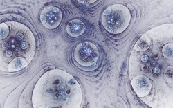 2014 04 14 Plastic 31-white.jpg